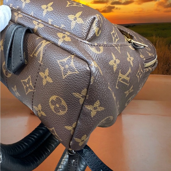 Louis Vuitton Monogram Palm Springs Backpack PM - Picture 10 of 17